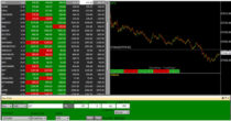 STOP LOSS2 akme consulting